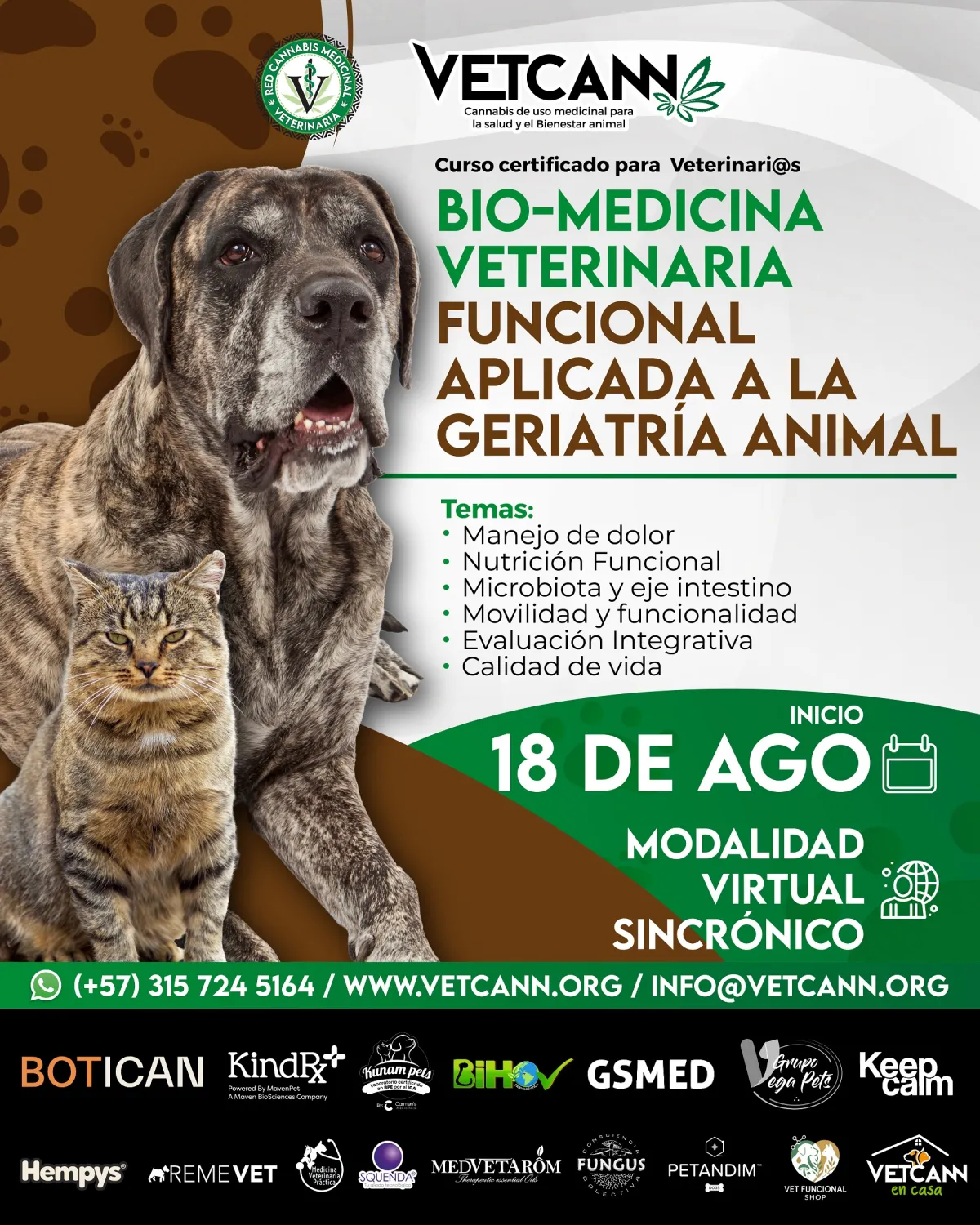 Imagen Galería