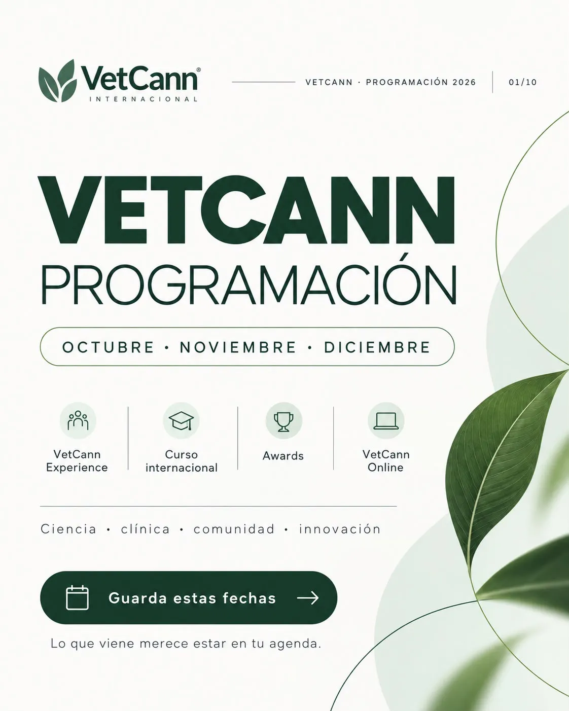 Imagen Galería