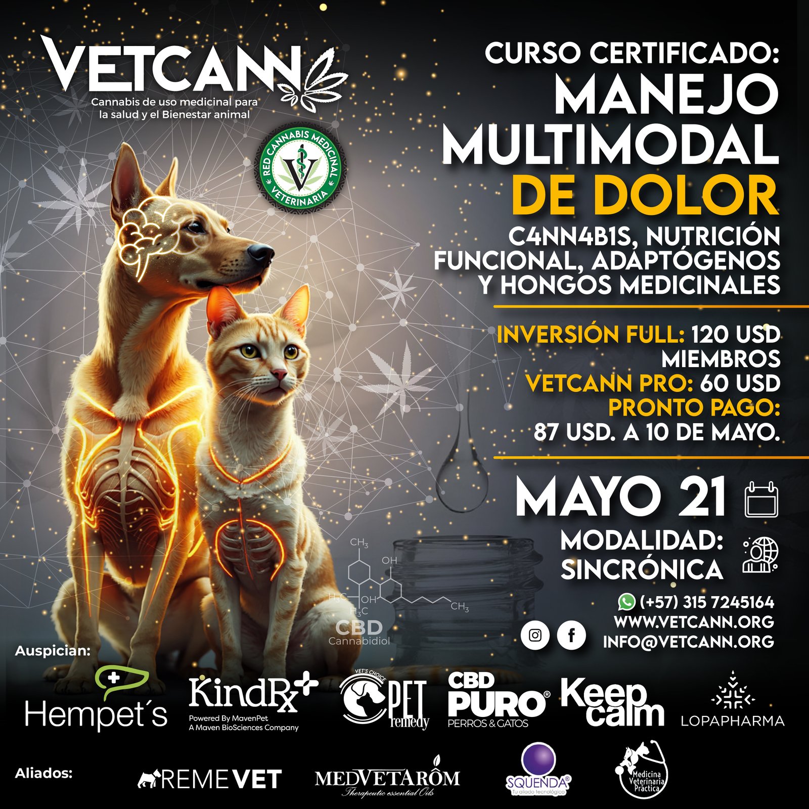 Curso Manejo Multimodal de Dolor en Veterinaria