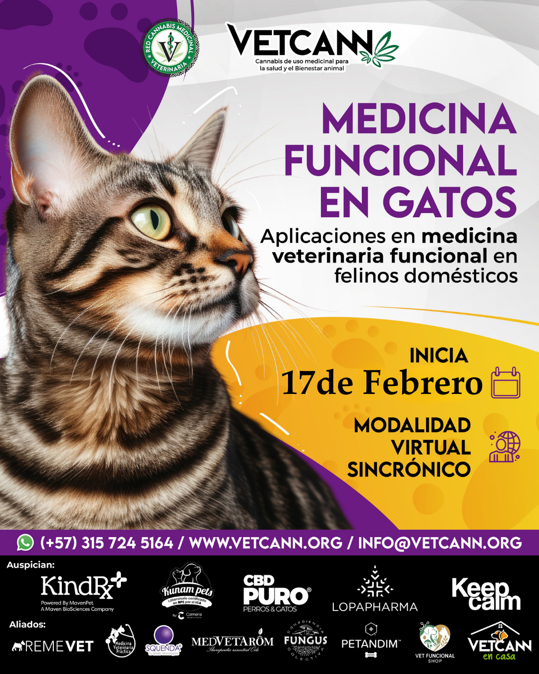 Curso Medicina Funcional en Gatos