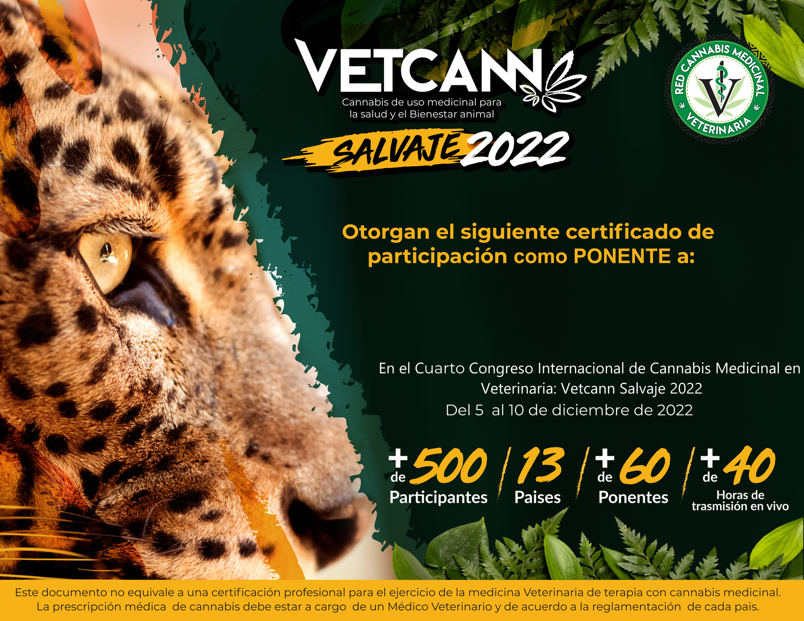 Congreso Vetcann On Line 2022 Full
