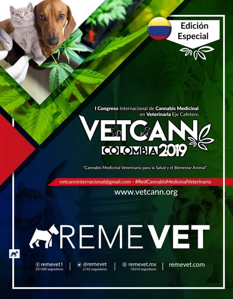 001_vetcann 2019