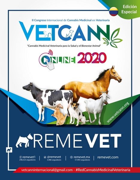004_Revista Remevet II 2020