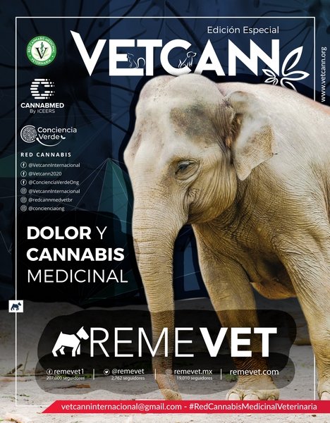 005_vetcann_2021