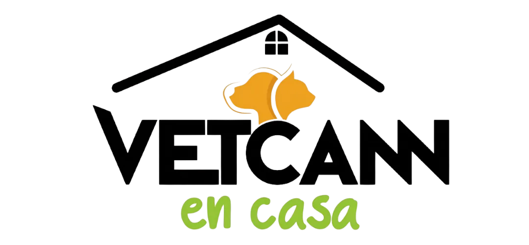 Aliado del Curso