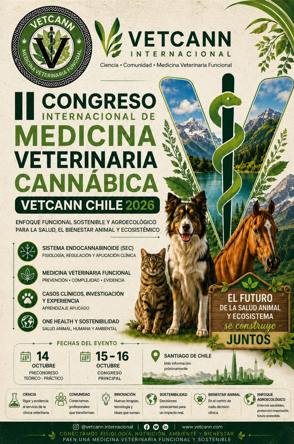 Curso
