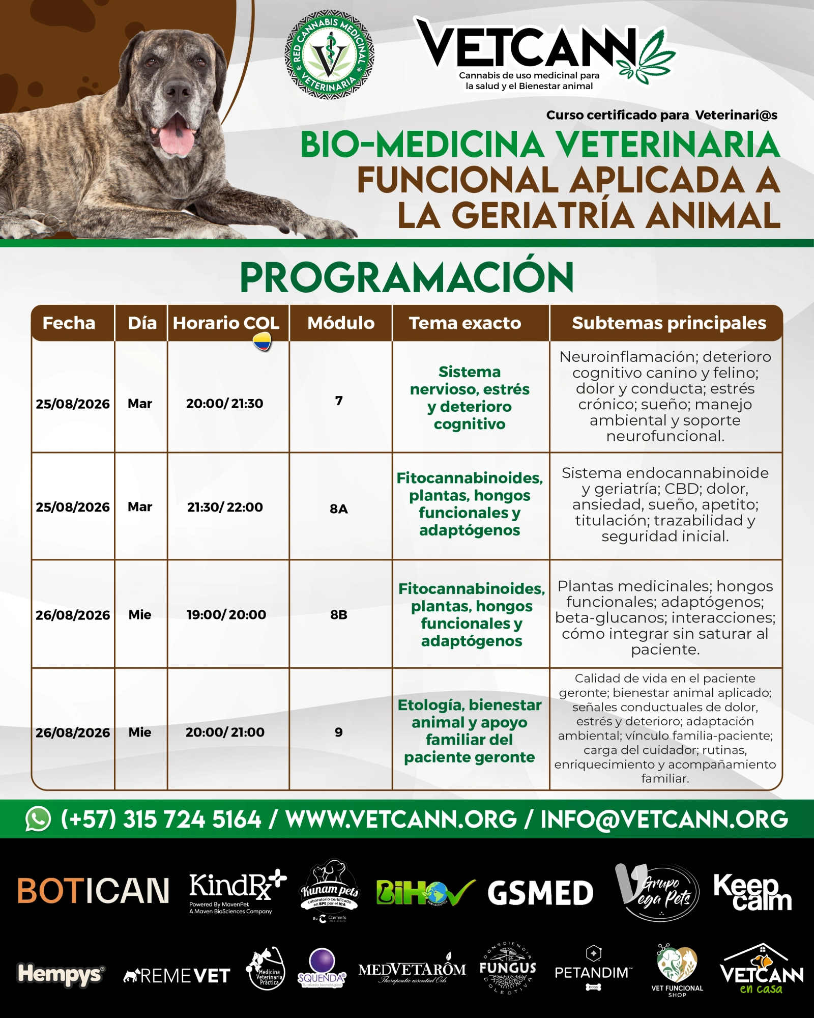 Curso