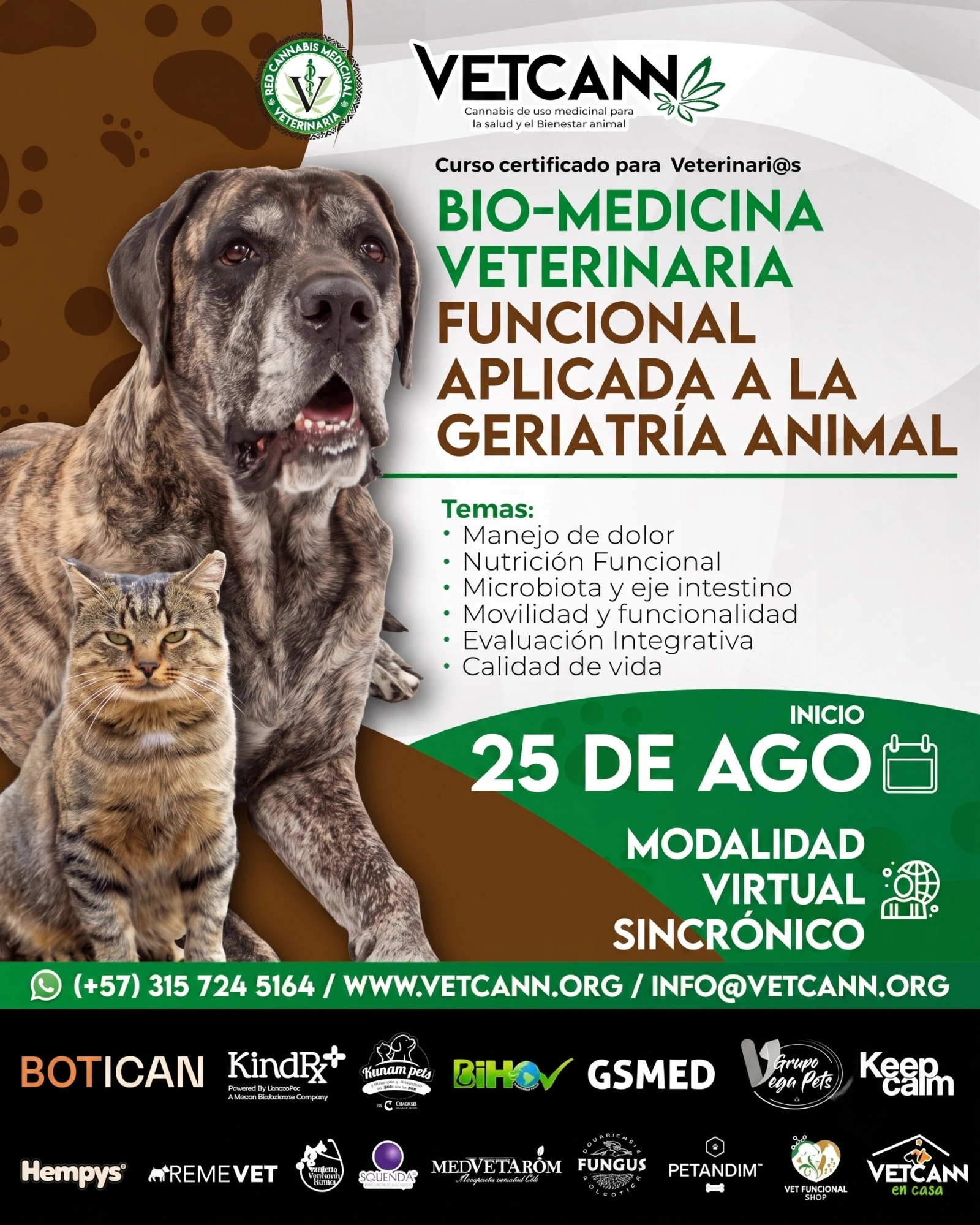 Curso