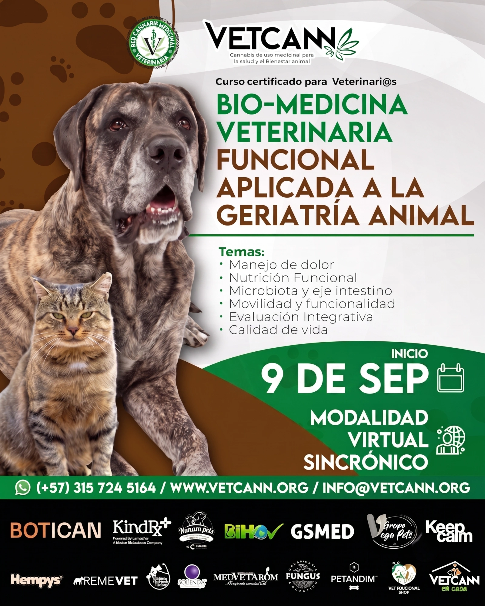 Curso