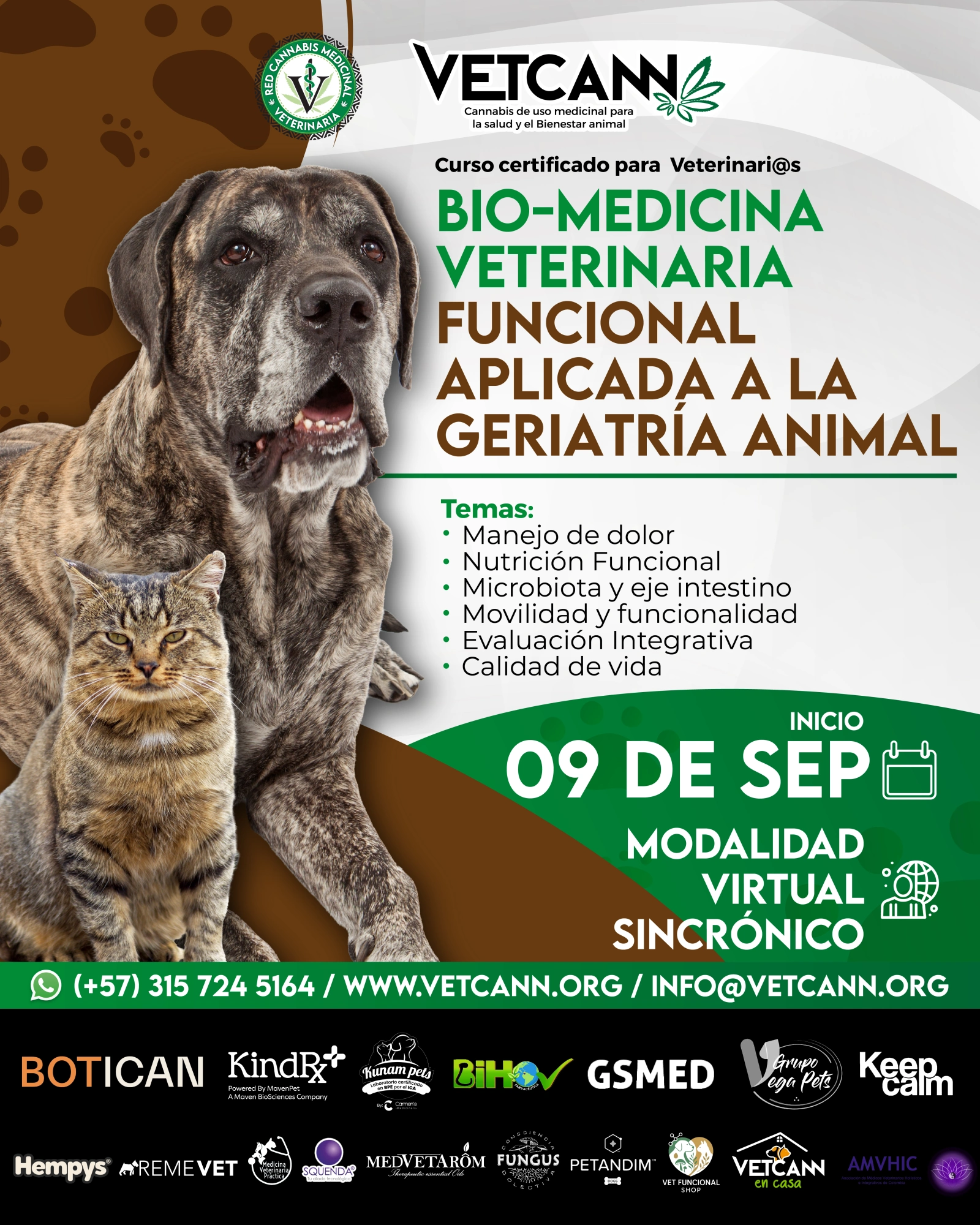 Curso