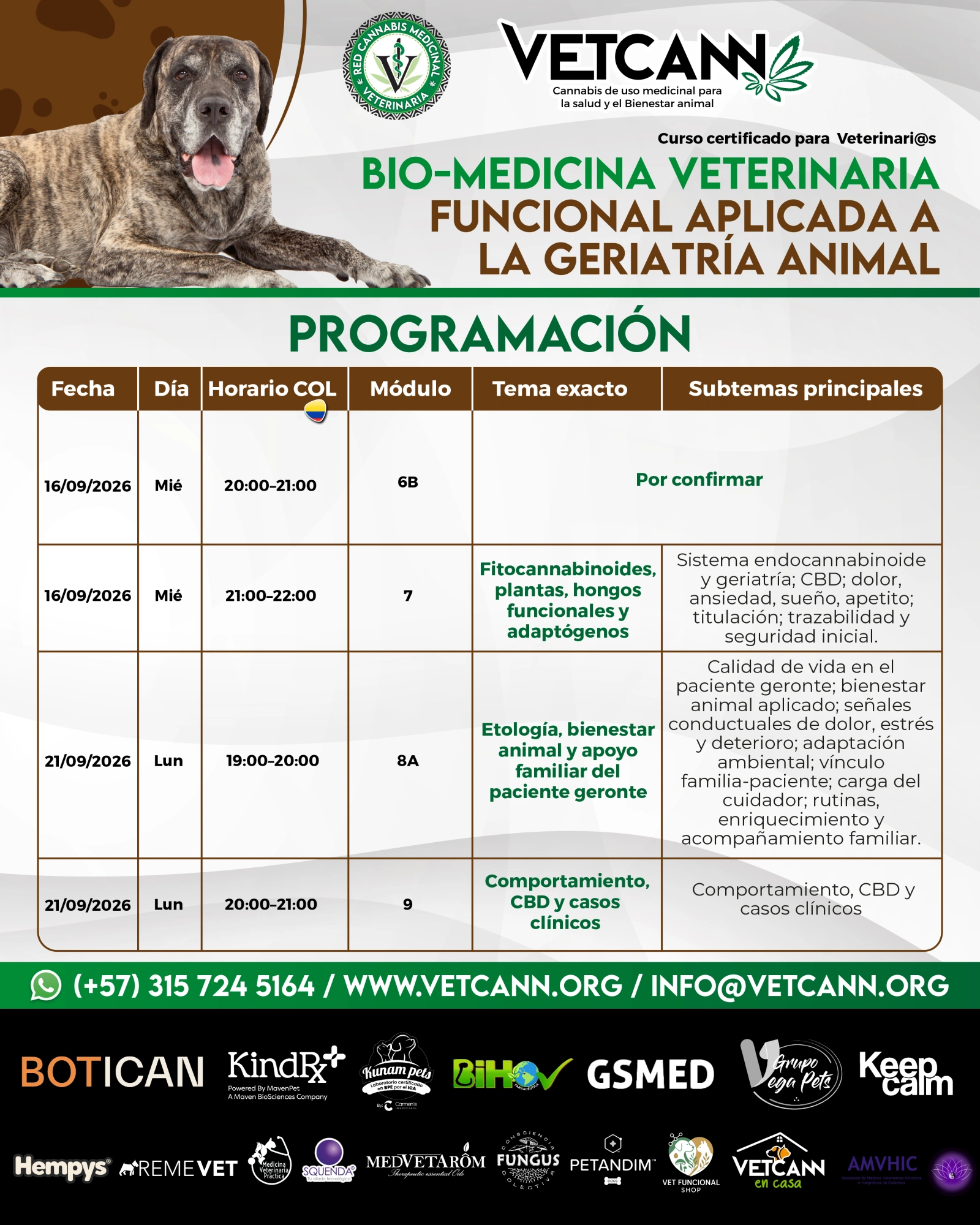 Curso