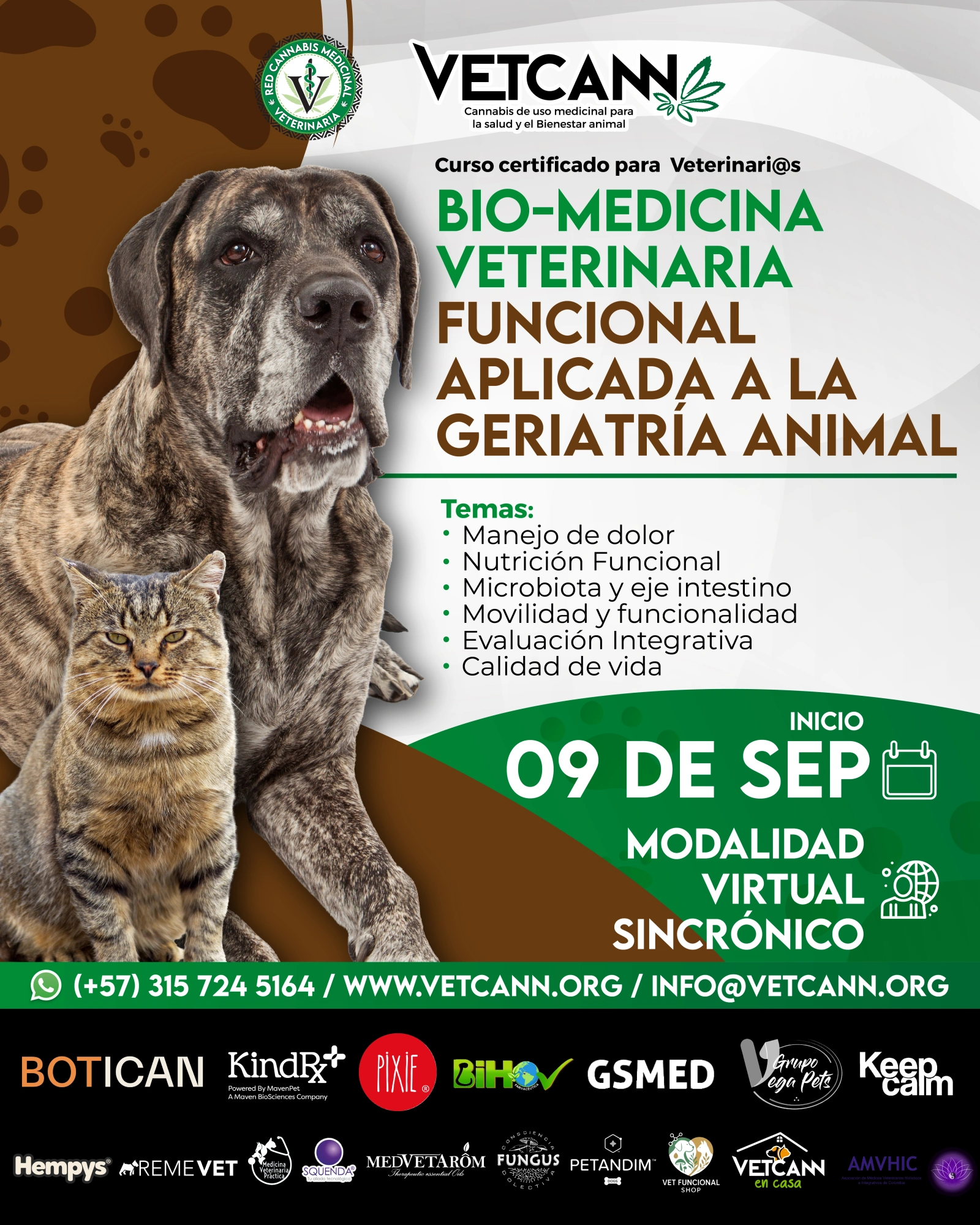 Curso