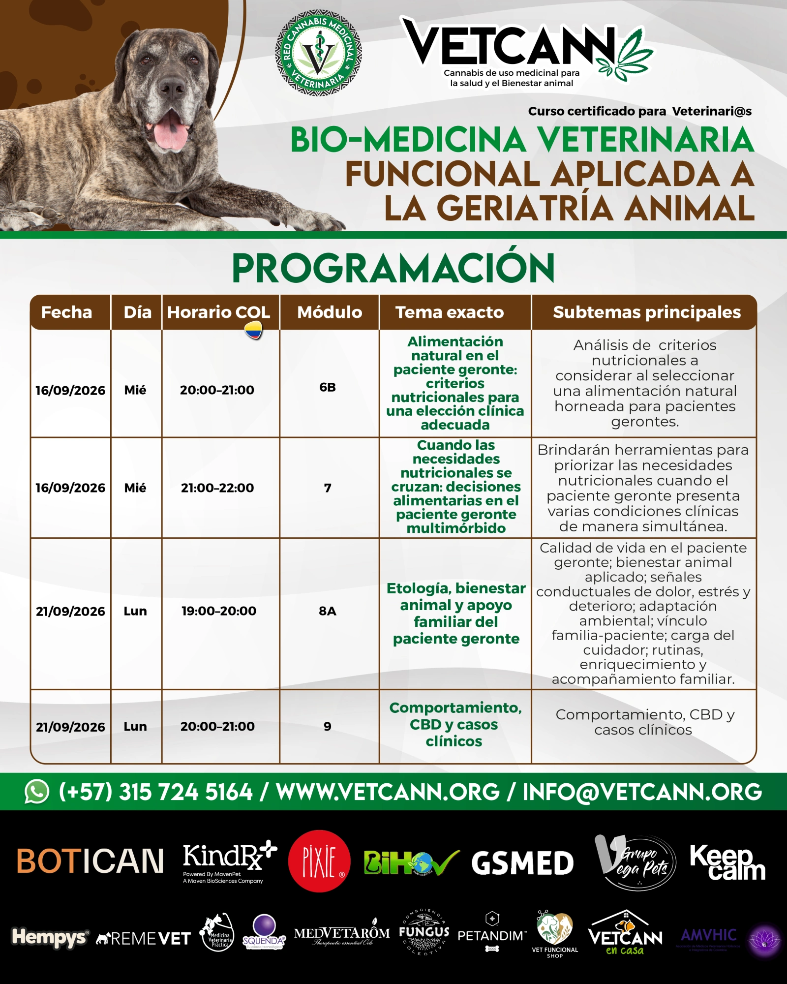 Curso