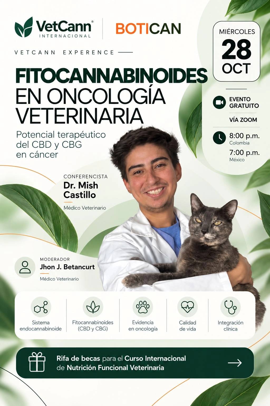 Curso