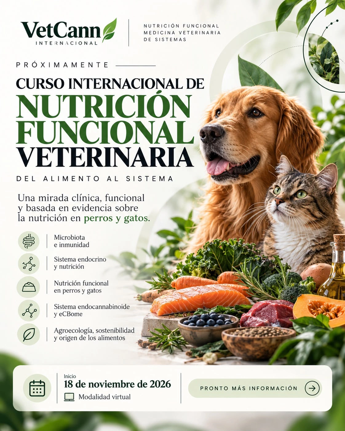Curso