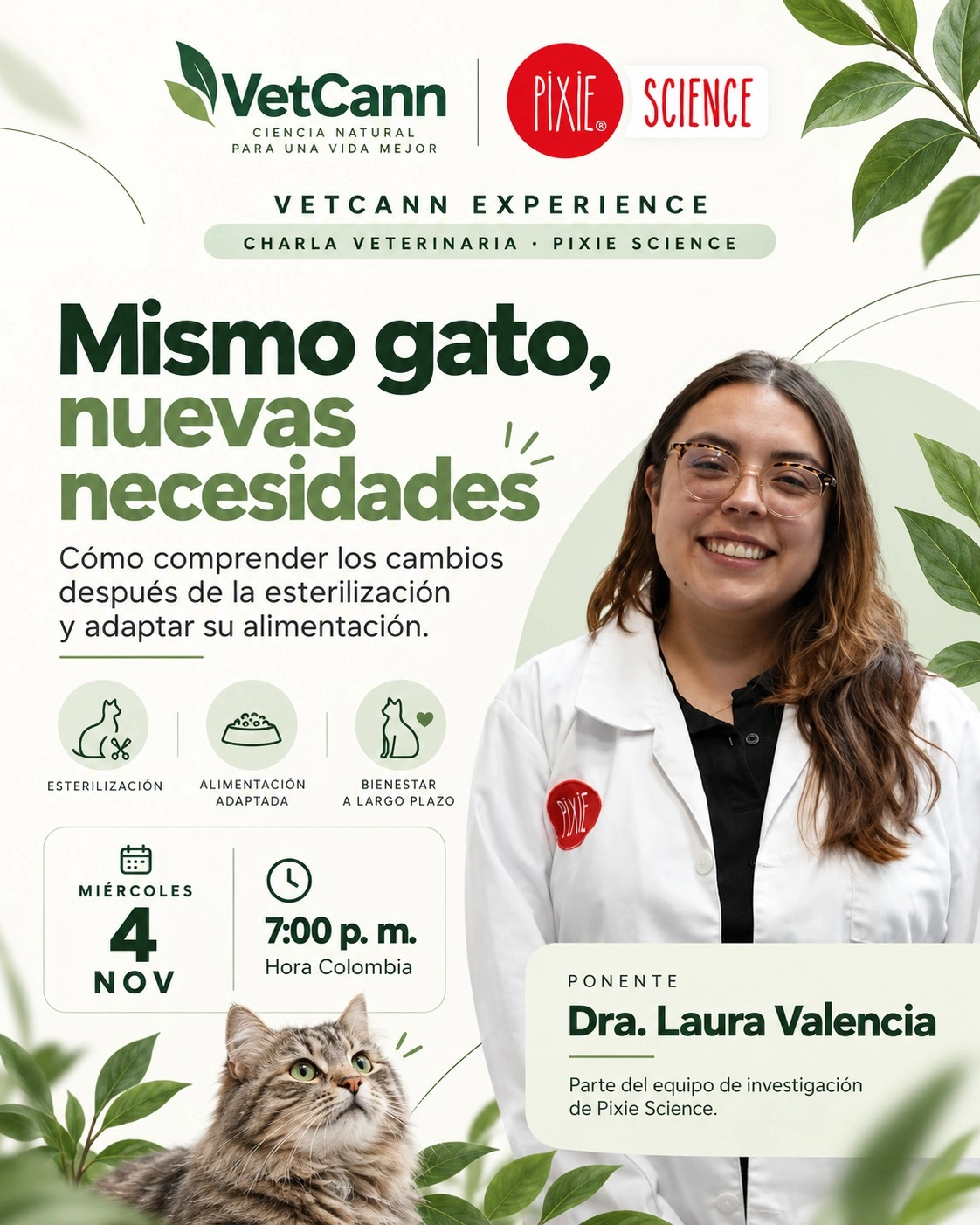 Curso
