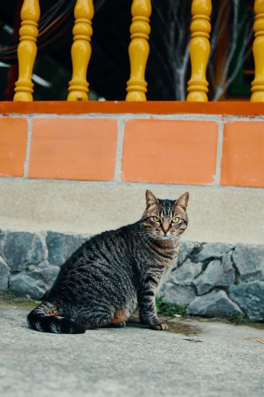 Paciente