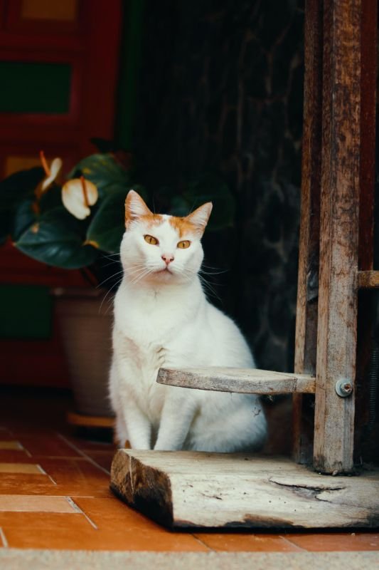 Paciente