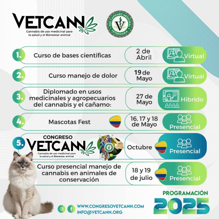 programacion 2025