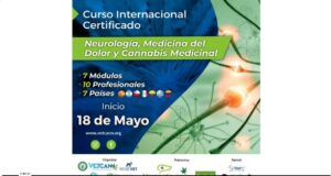 Profundización en Neurología Medicina