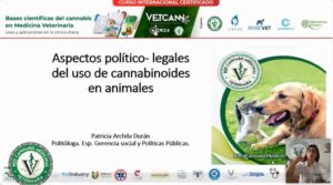 Versión 1 Bases Científicas