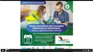 Versión 2 Bases Científicas