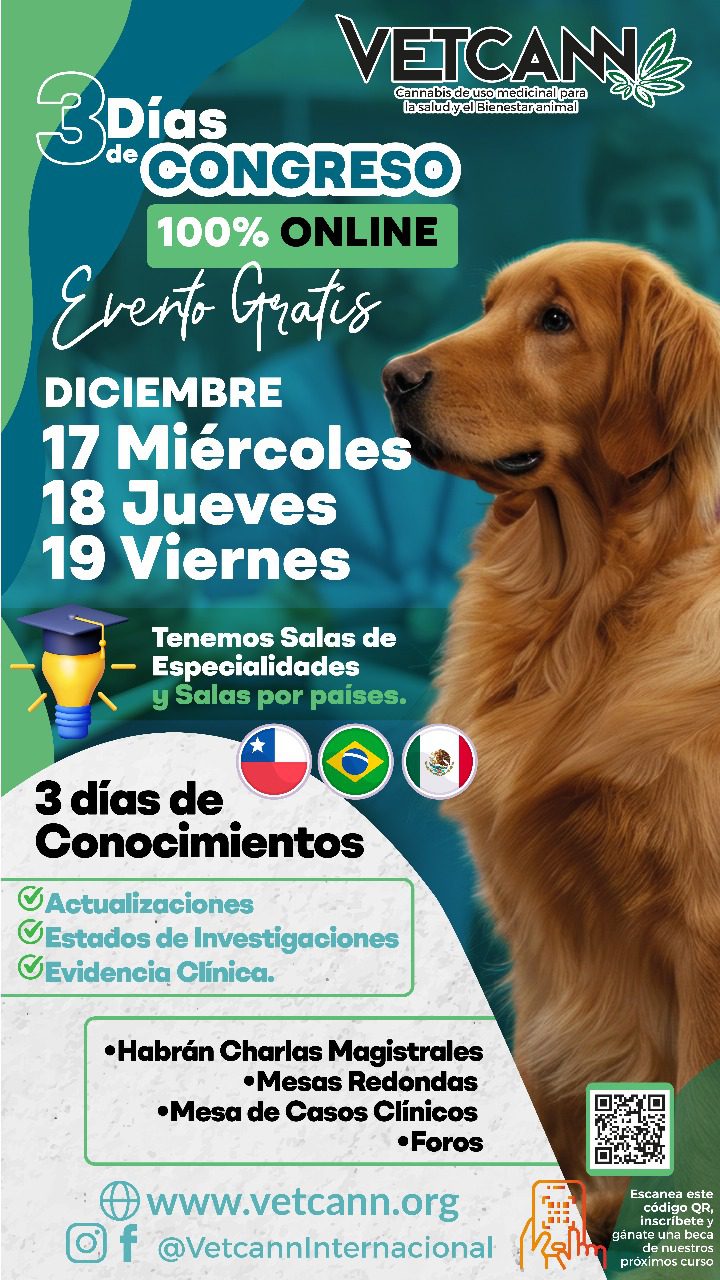 2WhatsApp Image 2025-12-11 at 11.46.45 AM