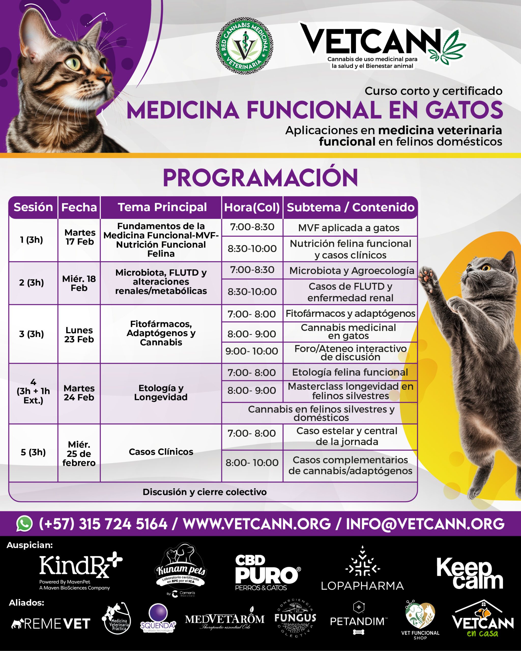 Cronograma Medicina Funcional en Gatos