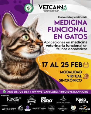 Curso Medicina Funcional en Gatos