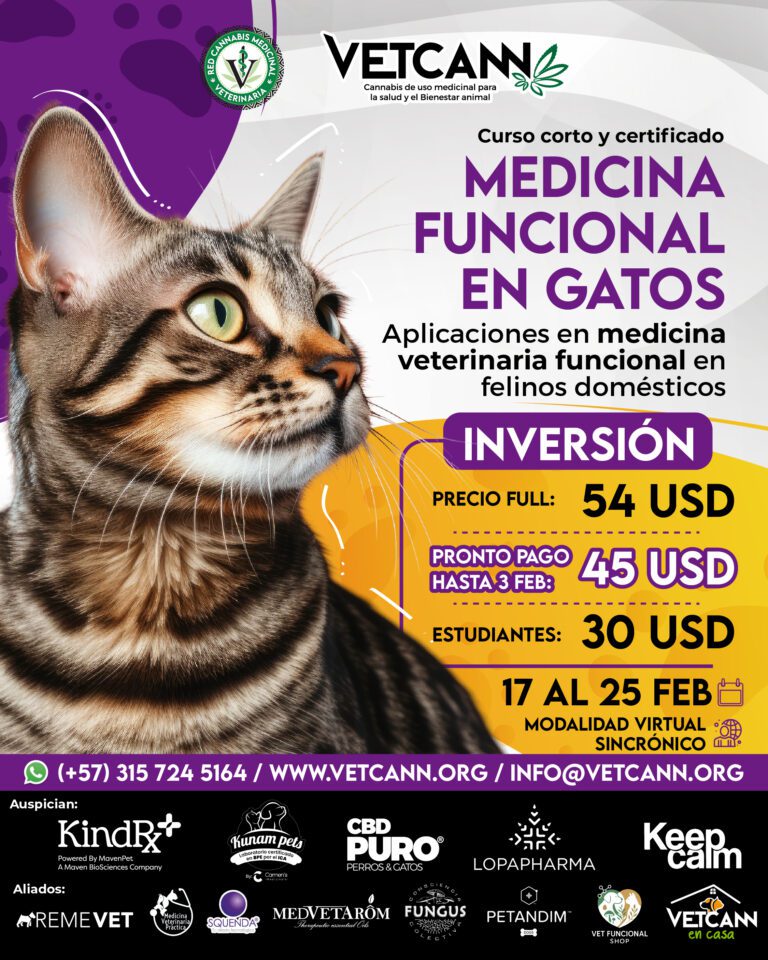 Panel Medicina Funcional en Gatos Precio