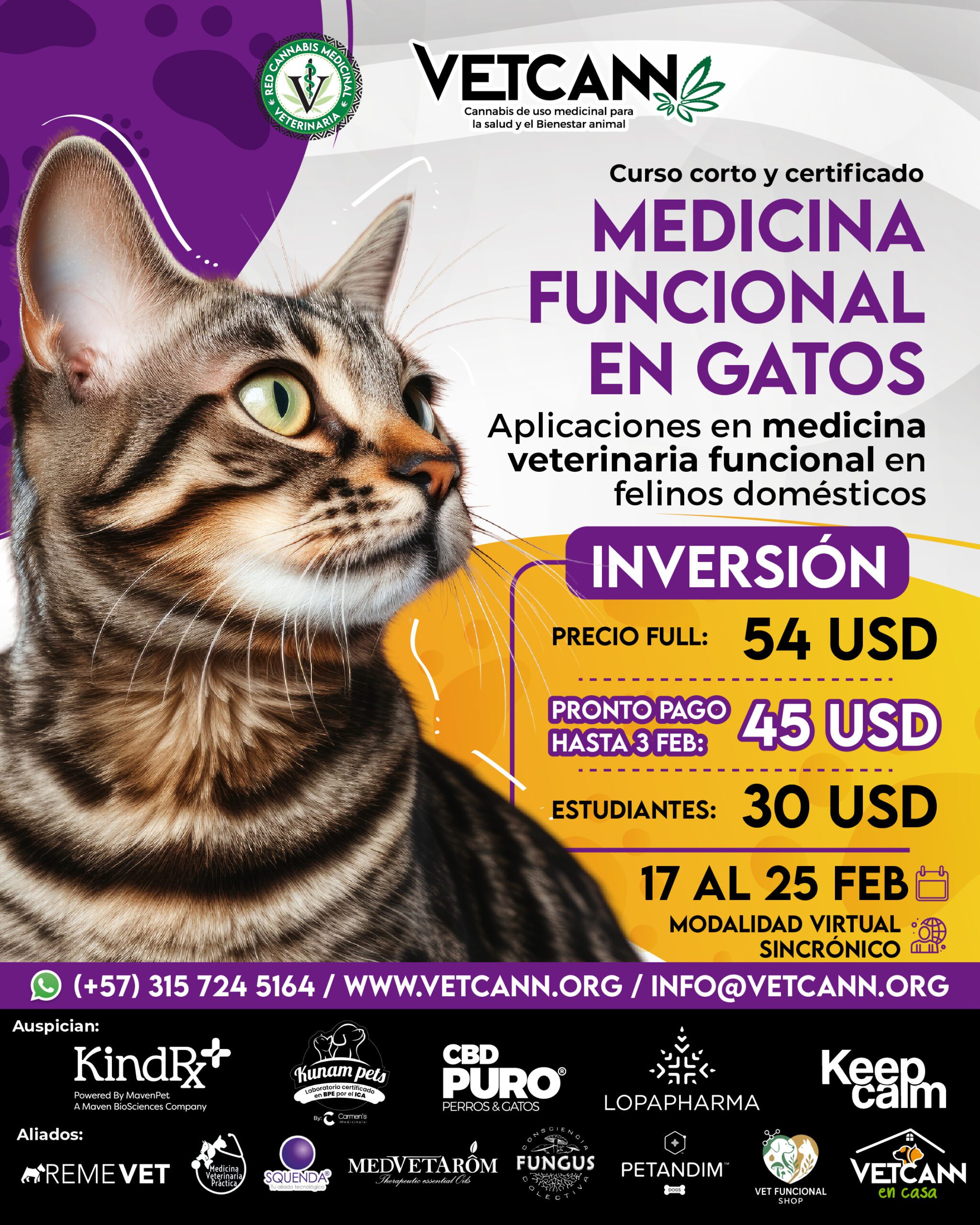 Panel Medicina Funcional en Gatos Precio
