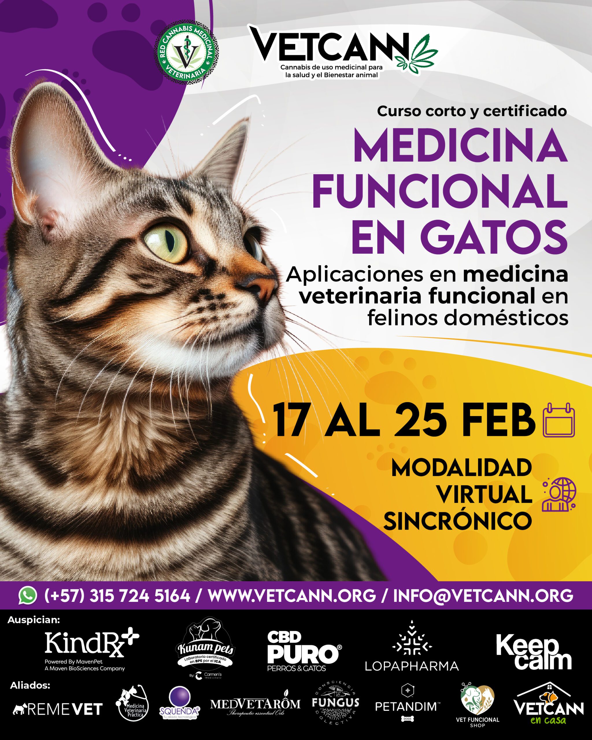 Panel Medicina Funcional en Gatos
