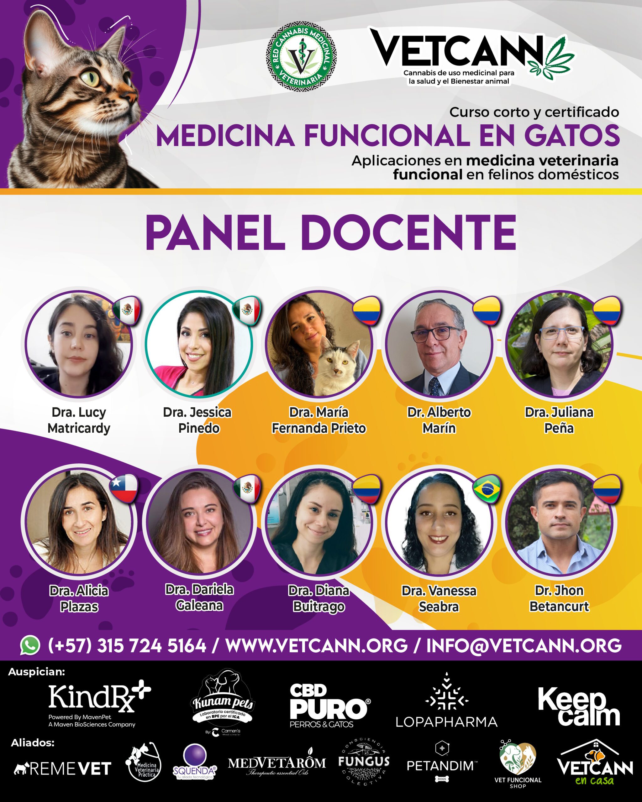 Panel docente Medicina Funcional en Gatos