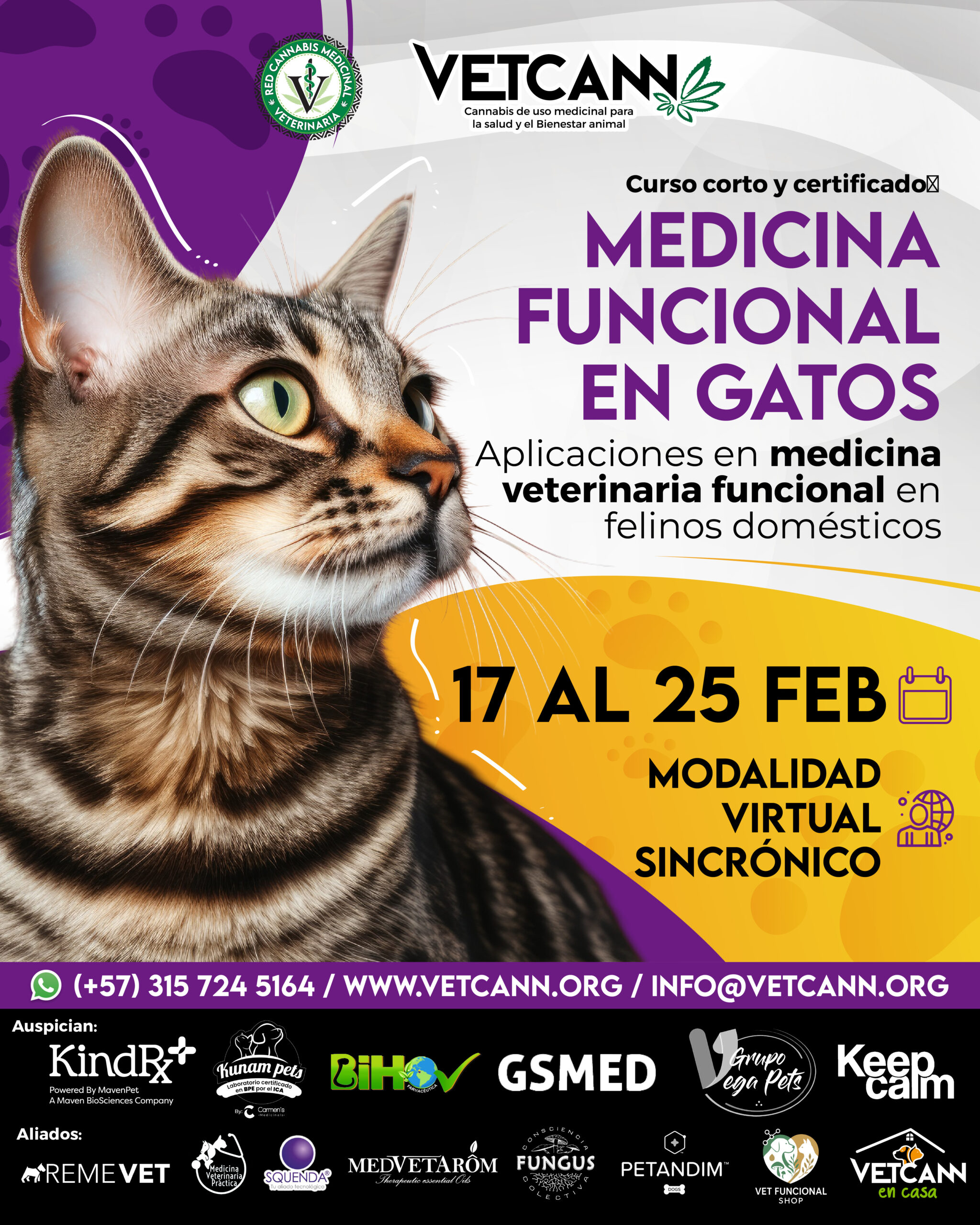 Panel Medicina Funcional en Gatos.jpg