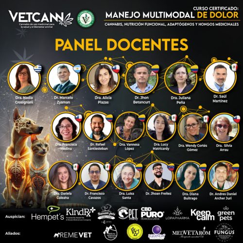 Panel Docente Curso Dolor