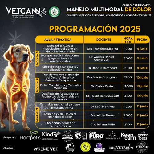 act Curso Dolor Completo_0042